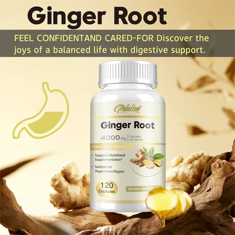 Capsules de racine de gingembr - Nutrition And Exercise avis et prix