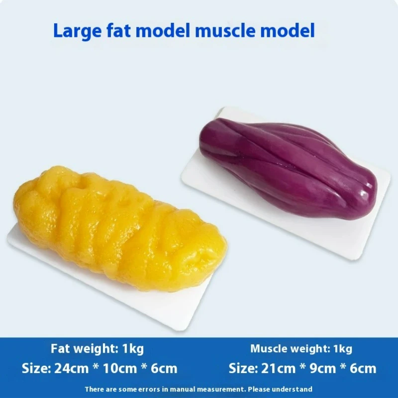 Répliques de Muscles et Graiss - Nutrition Fitness Health avis et prix